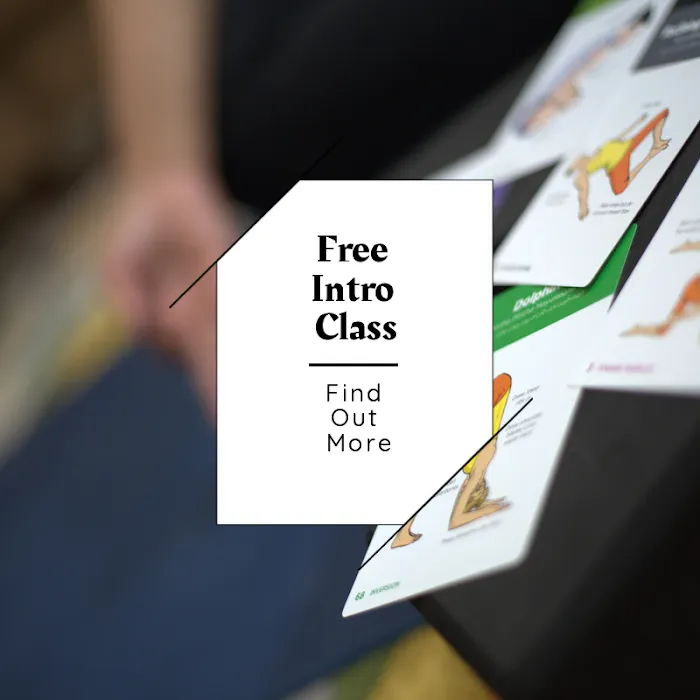 Shape-N-Sculpt Picture 7