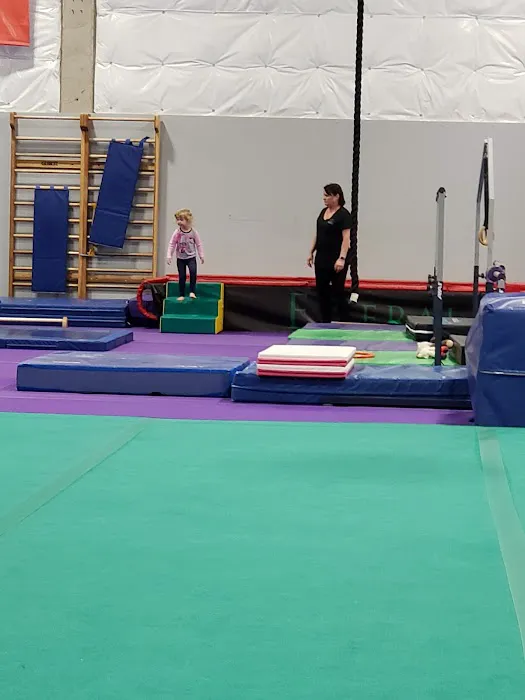 Emerald City Gymnastics Academy Picture 1