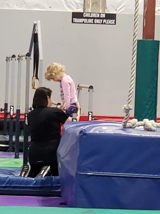 Emerald City Gymnastics Academy Picture 8