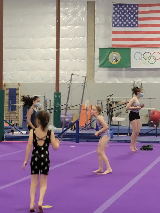 Emerald City Gymnastics Academy Picture 6