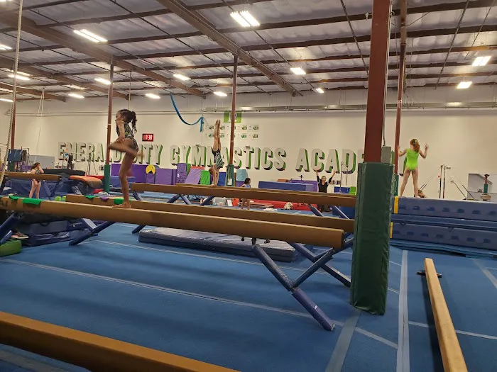 Emerald City Gymnastics Academy Picture 7