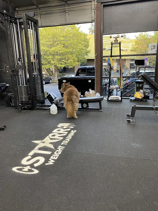 Starr Weight Training Gym Picture 2
