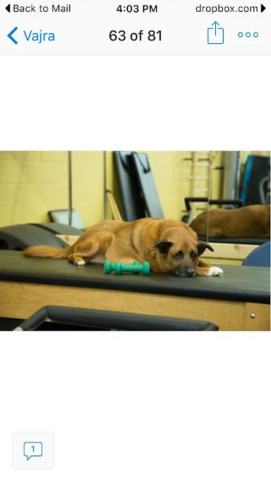 Vajra Pilates and Muscle Activation Picture 5