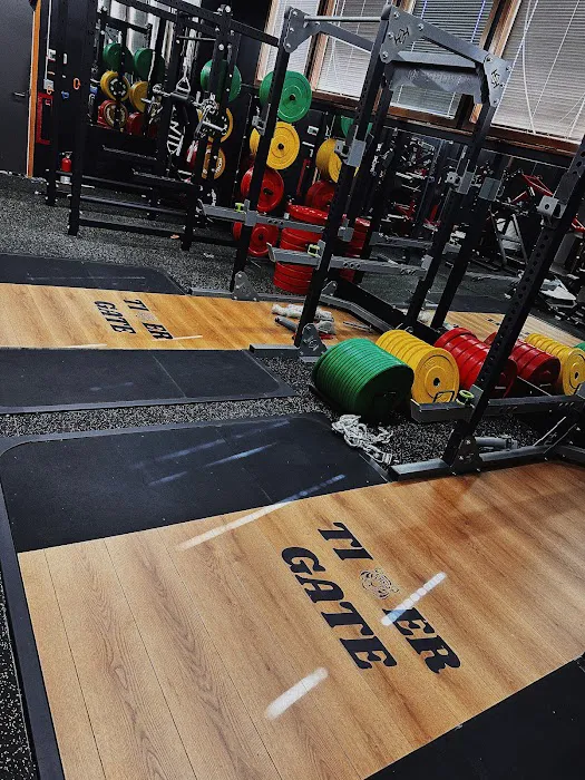 Tiger Gate Gym Picture 3