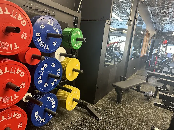 Tiger Gate Gym Picture 4