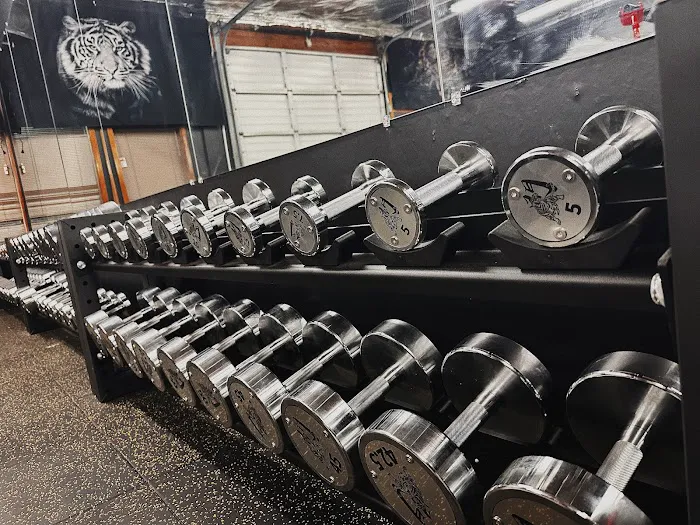 Tiger Gate Gym Picture 5