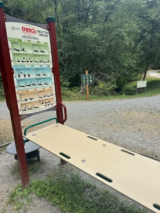 Total body fitness system Picture 2