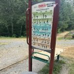 Total body fitness system