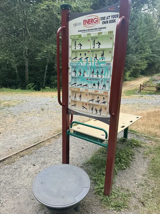 Total body fitness system Picture 3