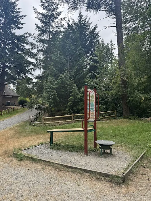 Total body fitness system Picture 5