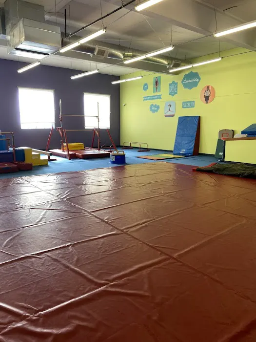 The Little Gym of Seattle at Interbay Picture 3