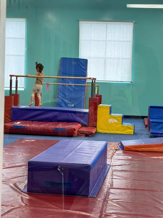 The Little Gym of Seattle at Interbay Picture 2