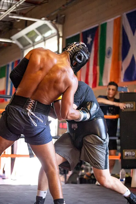 AcunaBoxing Picture 3