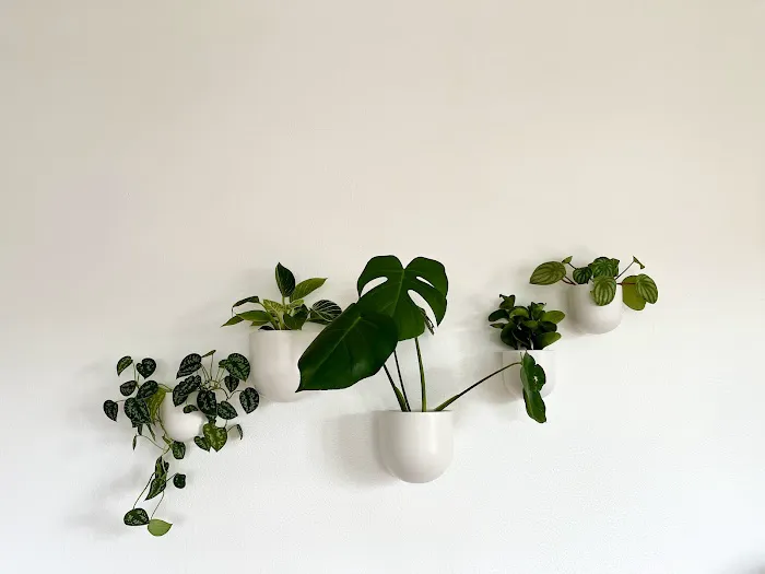 Seed Pilates + Movement Training Picture 2