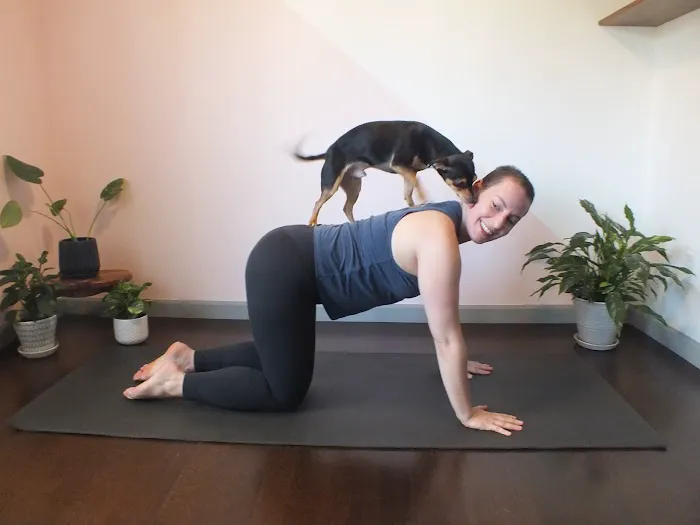 Seed Pilates + Movement Training Picture 3