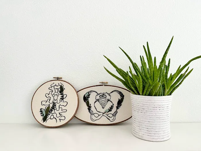 Seed Pilates + Movement Training Picture 1