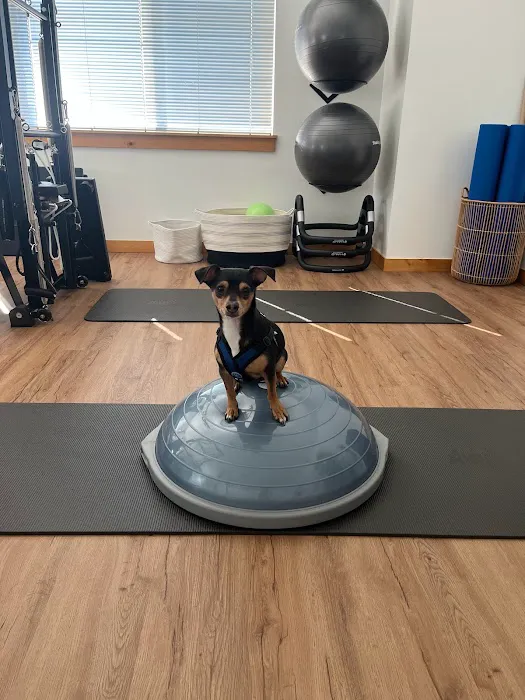 Seed Pilates + Movement Training Picture 9