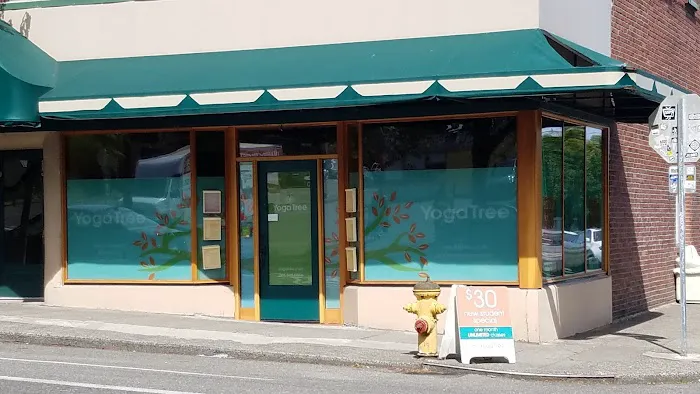 The Yoga Tree Picture 1