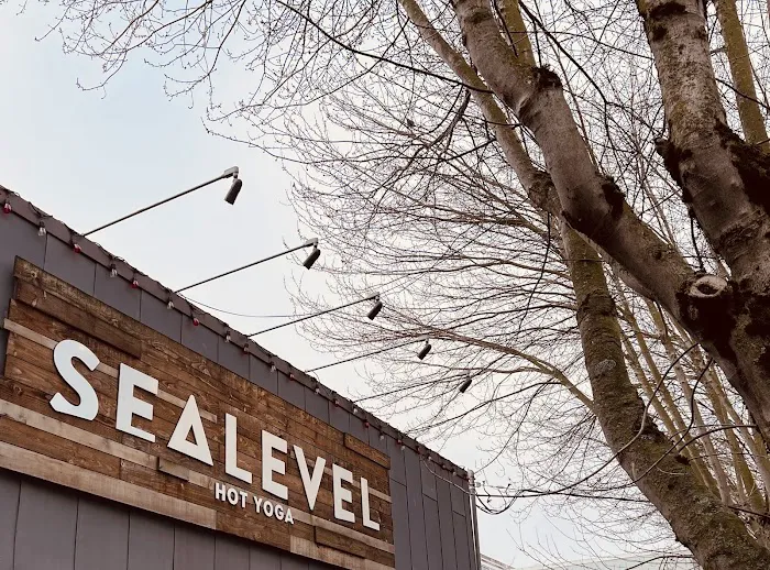 Sealevel Hot Yoga Picture 3