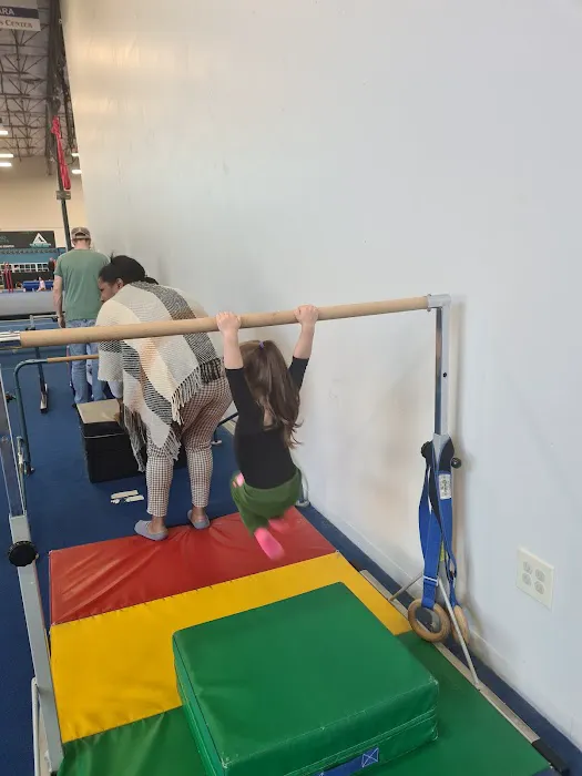 Ascend Gymnastics Auburn Picture 9