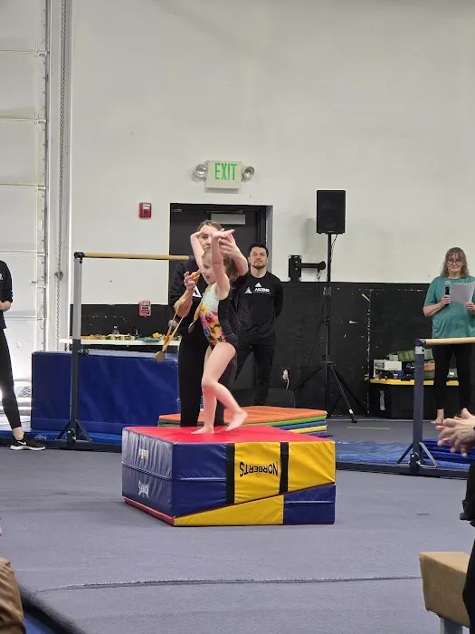 Ascend Gymnastics Auburn Picture 7