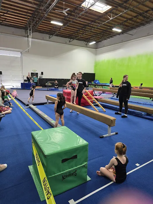 Ascend Gymnastics Auburn Picture 1