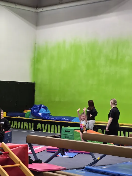 Ascend Gymnastics Auburn Picture 2