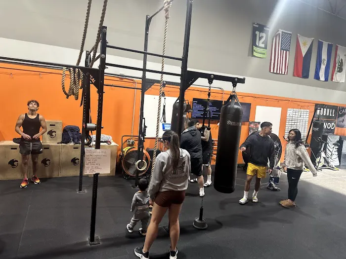 Gargoyle Strength & Fitness Picture 6