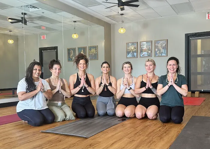 Yoga Om Wellness Studio Picture 8