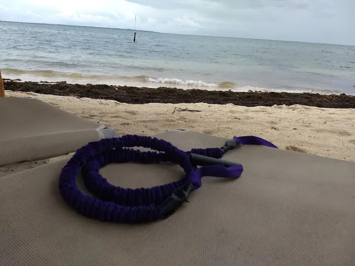 Curves, Federal Way Picture 1