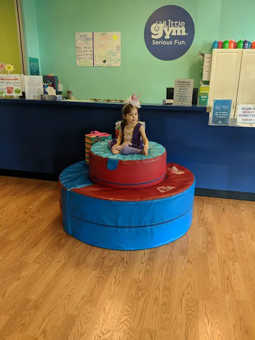 The Little Gym of Federal Way Picture 8