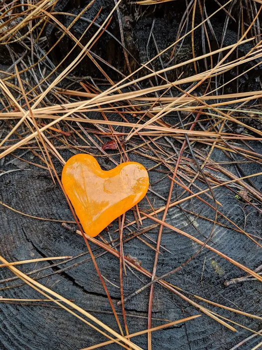 Discover Yoga Picture 1