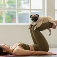 Shunya Yoga & Meditation - Online Yoga Studio ico