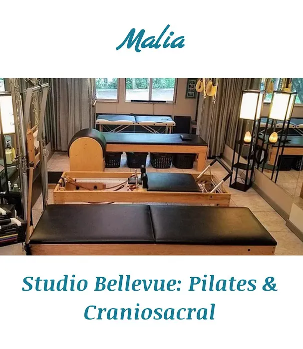 Pilates Studio Bellevue & Craniosacral Picture 2