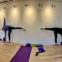 Yoga by Fran Gallo ico