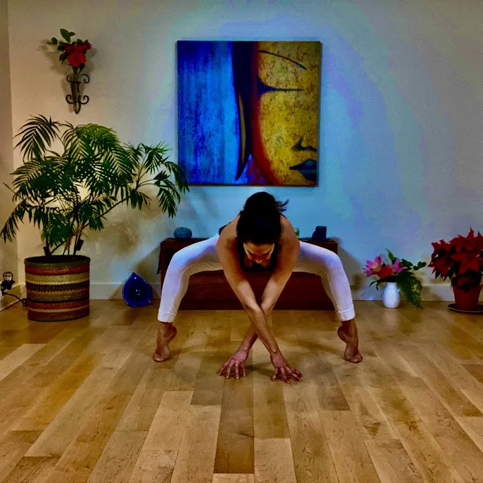 Yoga by Fran Gallo Picture 5