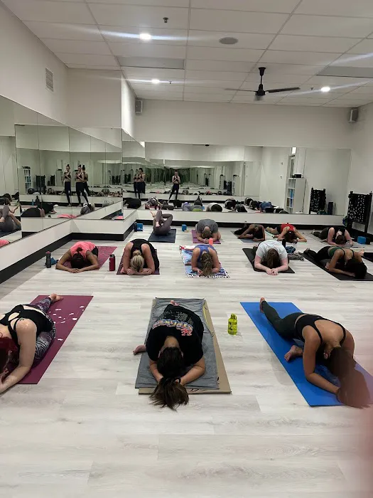 Live Love Flow Picture 6