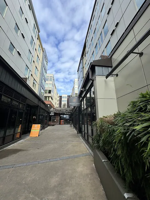 Halea Yoga Picture 2