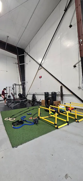 Tree of Life Training & Wellness Picture 2