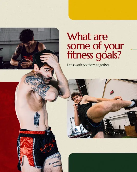 Tree of Life Training & Wellness Picture 5