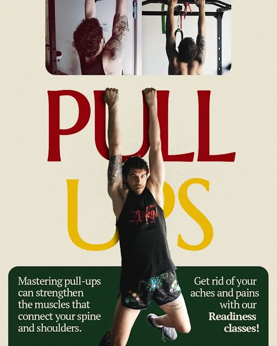 Tree of Life Training & Wellness Picture 1