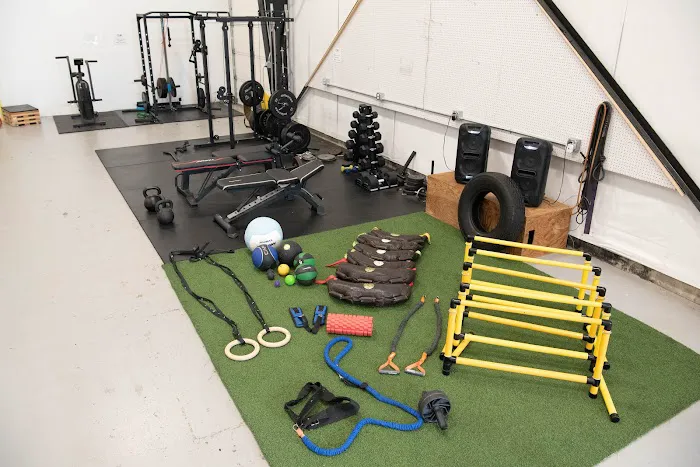 Tree of Life Training & Wellness Picture 4