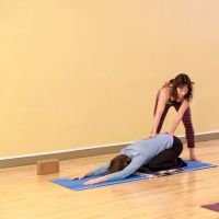 8 Limbs Yoga Centers - Wedgwood ico