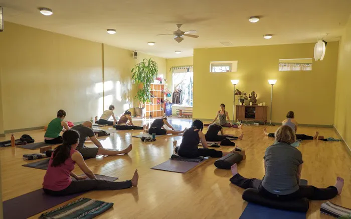 8 Limbs Yoga Centers - Wedgwood Picture 3