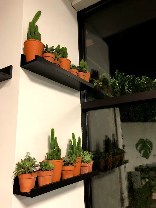 Sama Fitness Picture 3