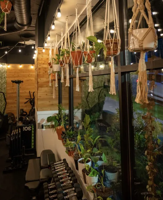 Sama Fitness Picture 4