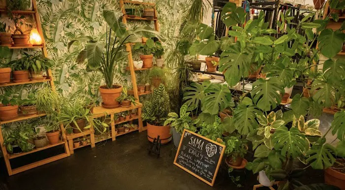 Sama Fitness Picture 1