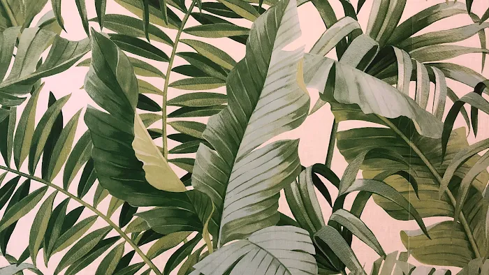 Sama Fitness Picture 9