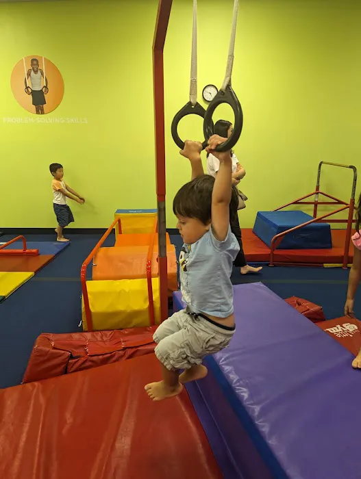 The Little Gym of Maple Valley Picture 4