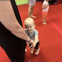 The Little Gym of Maple Valley ico